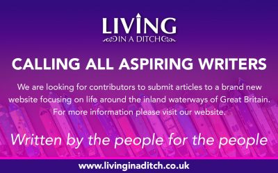 Well That Didn’t Take Long – Living In A Ditch Is Launched